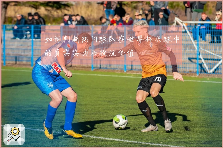 如何判断热门球队在世界杯买球中的真实实力和投注价值