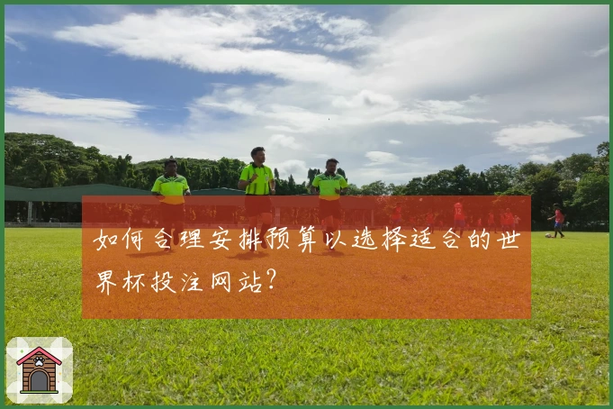 如何合理安排预算以选择适合的世界杯投注网站？