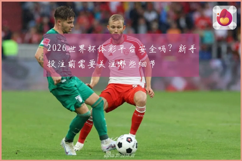 2026世界杯体彩平台安全吗？新手投注前需要关注哪些细节