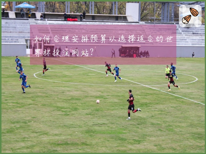 如何合理安排预算以选择适合的世界杯投注网站？