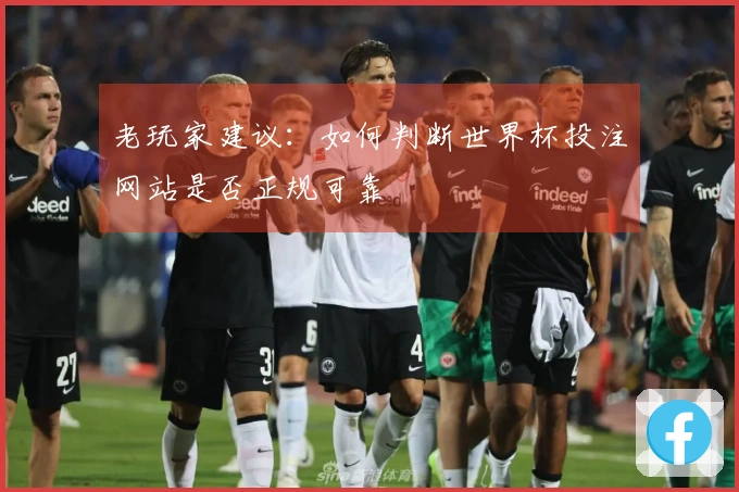 老玩家建议：如何判断世界杯投注网站是否正规可靠
